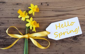 Spring Break 2018: How Will You Prepare Your Child for the Sun?